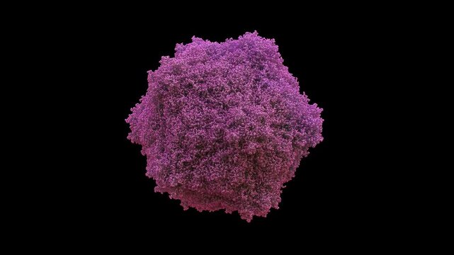 3d structure of cryo-EM cowpea mosaic virus CPMV capsid, 60-mer icosahedral plant virus, replication-defective and non-pathogenic to humans, primarily for cancer immunotherapy and in situ vaccination.