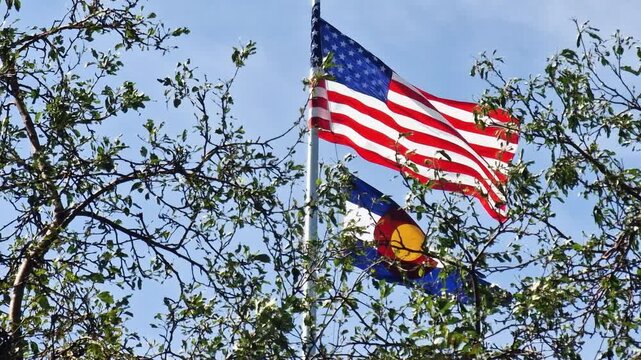 American and Colorado State Flag Waving in Park on Hot Sunny Day