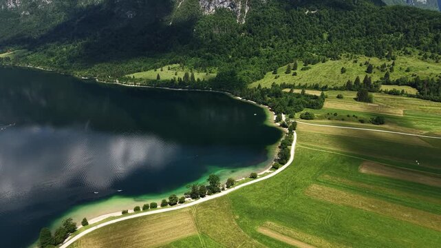 Drone Shot of Idyllic Lakeside and Lake Bohinj Under Alps Hills in Slovenia, Pastures, Alpine Water and Pine Forest