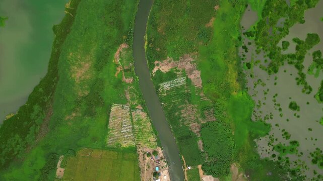 Top view aerial landscape shot of the S-shaped Morong River flowing through rice fields in Sitio Wawa Community, Morong, Rizal, Philippines, showcasing vibrant agriculture, freshwater ecosystems.