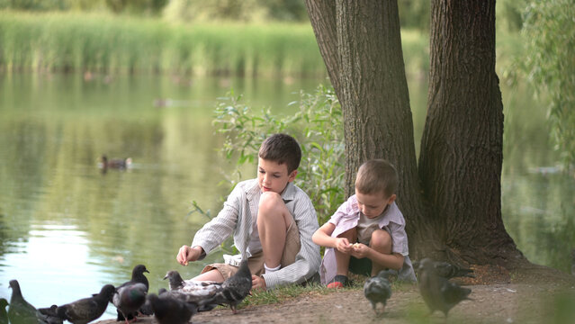 Young boys feeding pigeons bread by the lake in a peaceful park. Sitting on the grass under trees on a sunny summer day as birds gather around.