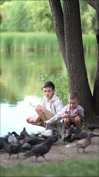 Two boys feeding pigeons with bread in a park by the lake. They sit on the grass under trees enjoying a peaceful summer day with birds around them in nature.