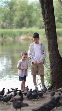 Young boys feed a flock of pigeons with bread by the peaceful lake. Birds gather at their feet in the sunny park, a heartwarming interaction with wildlife.