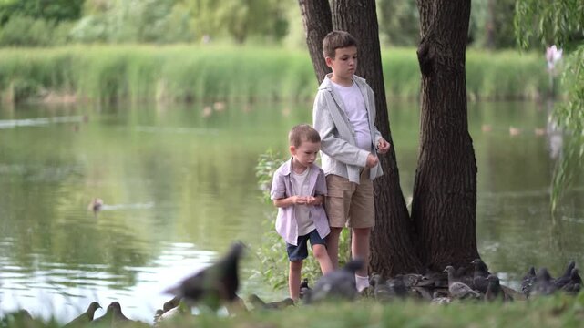 Peaceful outdoor scene of two boys feeding pigeons on the ground near a pond. The children share bread with the birds in a green park on a bright summer day.