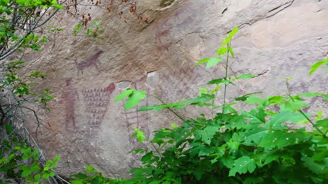 Ancient pictographs on sandstone wall partly hidden by green vegetation in rock shelter, pan across net like drawings of waves or mountains