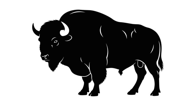 Black bison vector icon, bison silhouette, animal illustration, wildlife graphic