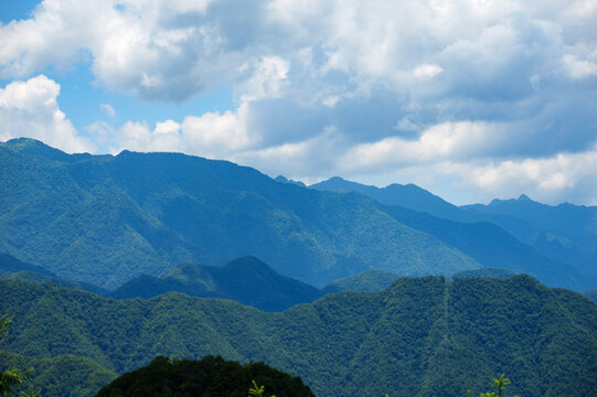 The lush green mountains and rolling hills of the Shennongjia National Nature Reserve in China stand under a bright blue sky with soft white clouds on a sunny day