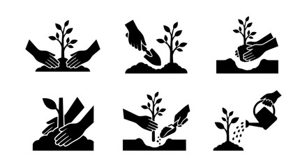 Obraz premium Planting Seedling Icons, Gardening Steps, Growing Tree Vector Set, Agriculture Process