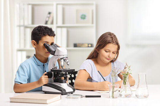 Children using a microscope