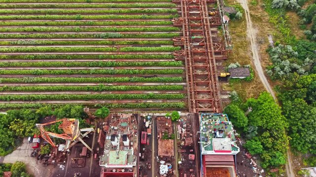 Construction tools and equipment are visible at the shipbuilding site. Nearby, rows of grapevines stretch across the land. The scene shows activity in a rural setting with a focus on shipbuilding.
