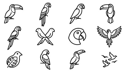 Generic rain forest birds vector icon set with simple bold line art classic complete unbranded toucan bill macaw tail parrot beak exotic wildlife and tropical jungle nature clip art black and white © Mdsahag
