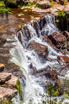 Beautiful waterfall in a green forest full of life, in Mexiquillo, Durango.