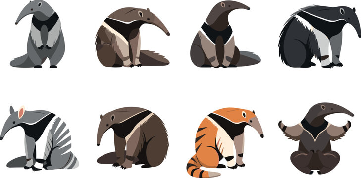 Cute cartoon anteater collection featuring different poses and color variations in wildlife animal illustration isolated on clean background