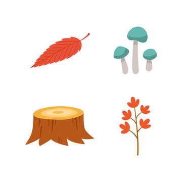 Autumn various elements. Autumn leaf,mushroom,stump,flowers. Set of autumn nature decorative elements vector illustration.	