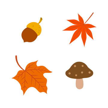 Autumn acorn,mushroom and maple leaves elements. Set of autumn nature decorative elements vector illustration.	