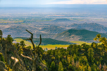 Sweeping aerial view of the Uncompahgre Valley farmland and mesas from the forested South Rim, Black Canyon of the Gunnison NP, Colorado. © ZL Visuals