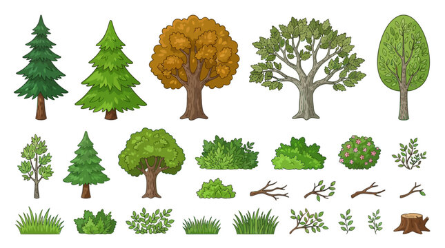 Cartoon tree and bush with leaf wood bark set including pine fir oak elm and ash. Green plant for wild park yard or land shrub with grass and branch. Flat vector clip art pack for game