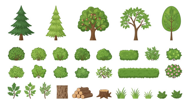Cartoon tree and bush with leaf wood bark set including pine fir oak elm and ash. Green plant for wild park yard or land shrub with grass and branch. Flat vector clip art pack for game