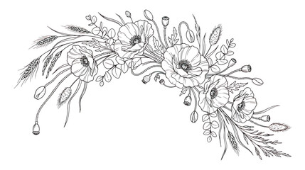 Vintage poppy flower line art bouquet, hand drawn botanical floral arrangement vector, wildflower meadow sketch with wheat and eucalyptus leaves © Rafay