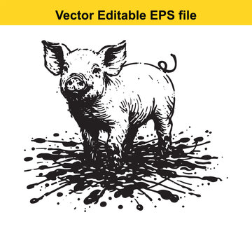 Hand drawn ink sketch of a cute little pig standing in mud