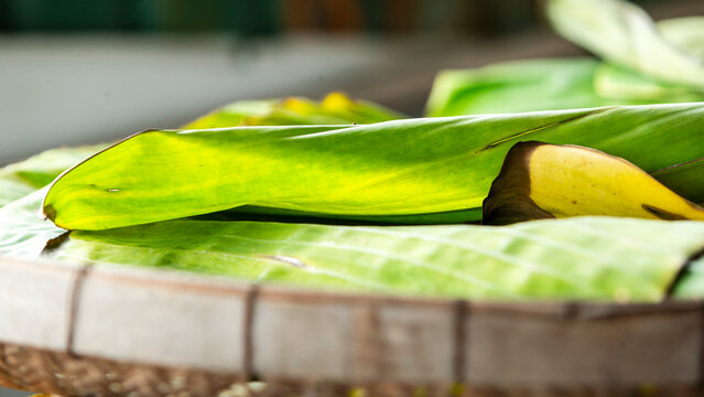 Close-up of fresh green banana leaves on a traditional woven bamboo basket.