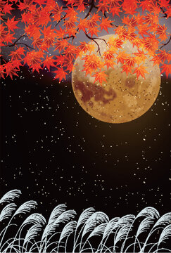 Full Moon with Red Autumn Maple Leaves and Pampas Grass