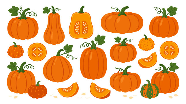 Collection of orange pumpkins and gourds in various shapes and sizes, some whole, some sliced, with green stems and leaves, isolated on a neutral