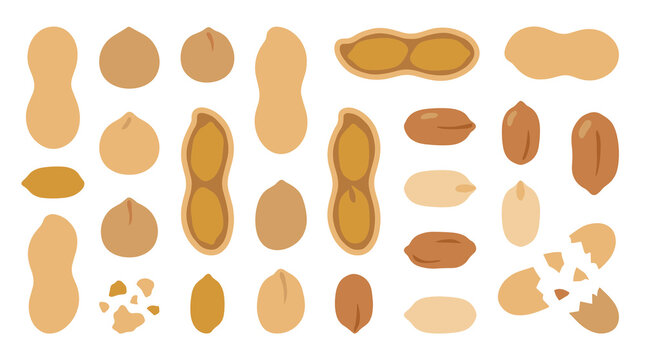 Collection of whole and shelled peanuts and peanut halves, arranged as a pattern on a white background, digital illustration