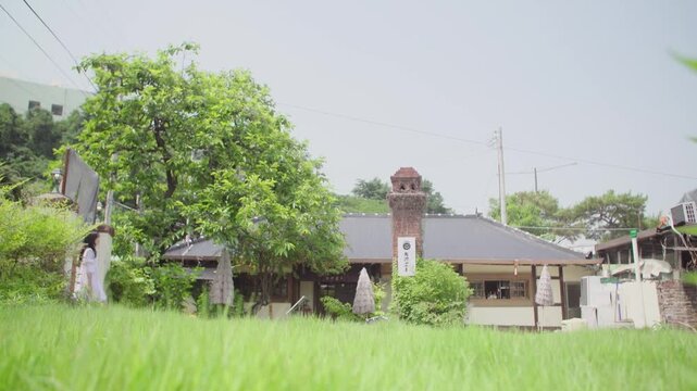 골목을 걷는 여성8(슬로우모션+잔디+풀+긴머리+옆모습+원피스+한국+주택)