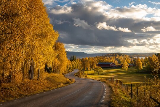 swedish. Scenic autumn road lined with golden trees under a dramatic sky in the Swedish countryside. representing seasonal cycles and harvest abundance.