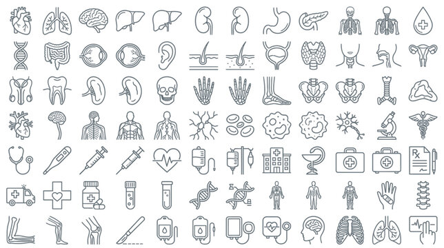 Medical Icons Set: Human Anatomy, Health, Science, and Healthcare Symbols