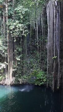 Ik-Kil Cenote, Chichen Itza, Mexico. Vertical footage