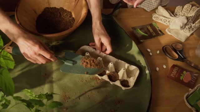 High angle cropped shot of hands of women filling recycled egg carton with soil and planting seeds. Perfect for eco-friendly lifestyle commercials, sustainable gardening tutorials, DIY home projects