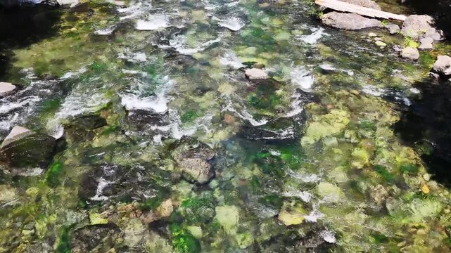 Clear water flows down the Clackamas River in Northwestern Oregon, not far from Salem. Originating in the Mt. Hood National Forest, this beautiful 83-mile river is a tributary to the Willamette River.