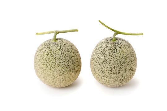 白背景に置かれた高品質な北海道産のメロン　Japanese melon with stalk isolated on white background