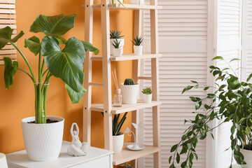 Indoor plants and succulents on a wooden ladder shelf in a modern home interior with an orange wall and white room divider © Pixel-Shot