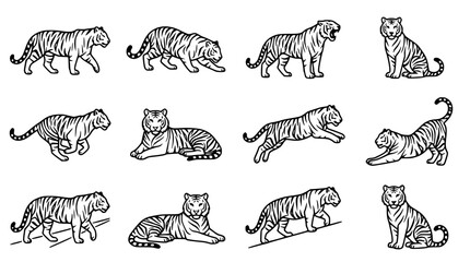 Tiger poses vector illustration, set of wild cat icons, black and white drawings © Ceblok