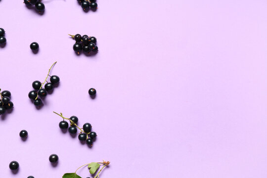 Fresh black currants on lilac background