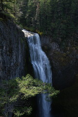 waterfall in the forest in oregon © Gabriela
