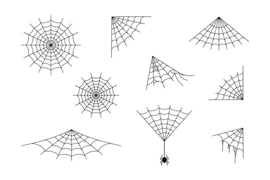 Mathematical geometric spider web vector illustrations collection