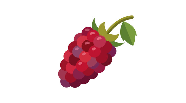 A ripe red blackberry fruit.