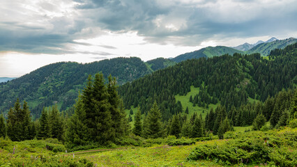 Obraz premium Landscape Kazachstan, mountain, trees, green, woods, travel, pine, blue, clubs,