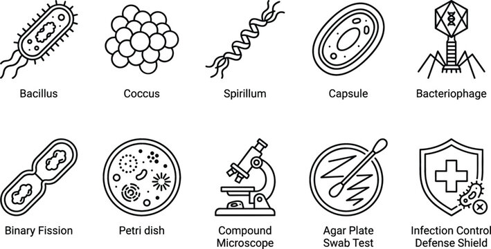 Microbiology laboratory icon set featuring bacillus coccus spirillum cell capsule bacteriophage binary fission petri dish microscope and infection control shield