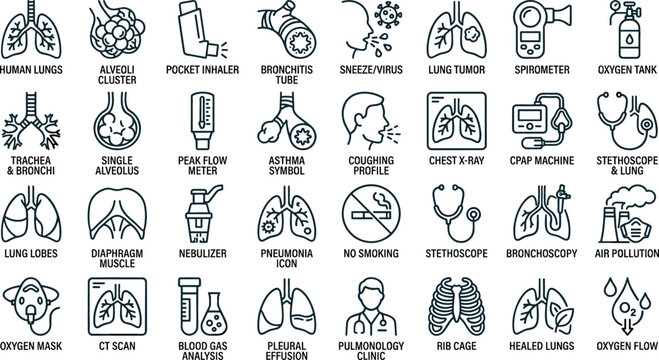 Pulmonology and respiratory system line icons set representing lung anatomy health diseases medical diagnosis clinical care and treatment concepts