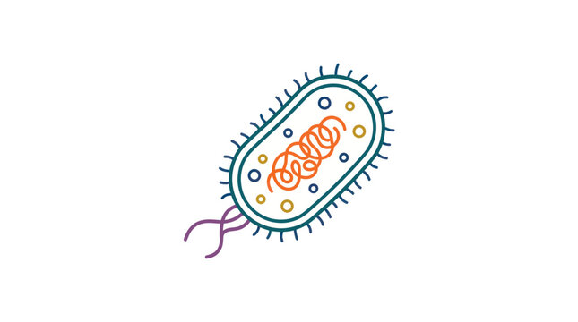 Illustration of a single bacterium with flagella and internal structures.