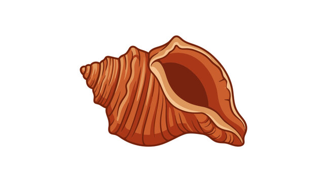 Brown spiral conch seashell illustration isolated on white background