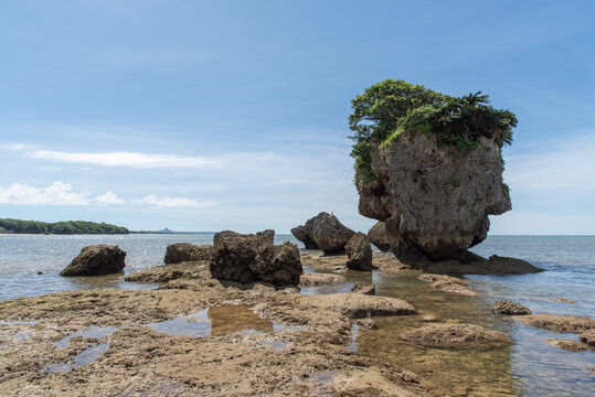 水平線の見える遠浅の海岸線に立つ上部に植物の生えるいくつかの岩