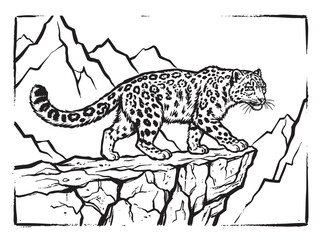 Fototapeta premium Snow leopard, mountain animal, wildlife illustration, black and white vector
