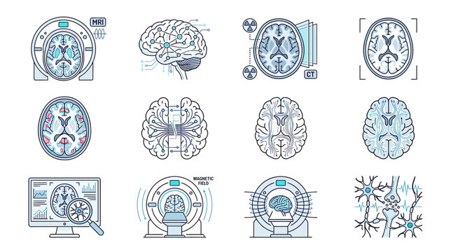 Human Brain MRI and CT Scan Illustrations Set: Medical Imaging and Neuroscience