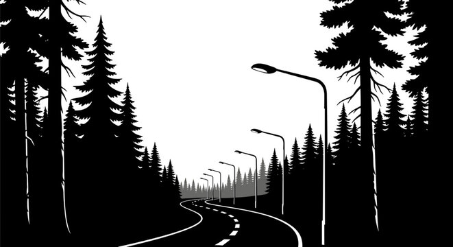 Vector illustration of winding road through a pine forest with street lamps at night on a transparent background